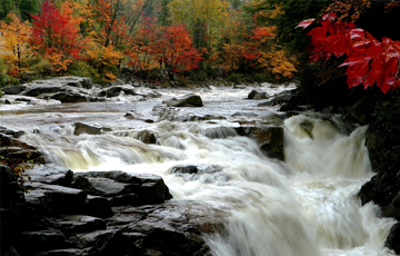 Leaves begin to change color along the Swift River in the White Mountain National Forest in Albany, N.H., Wednesday, Oct. 1, 2008.(AP Photo/Jim Cole)